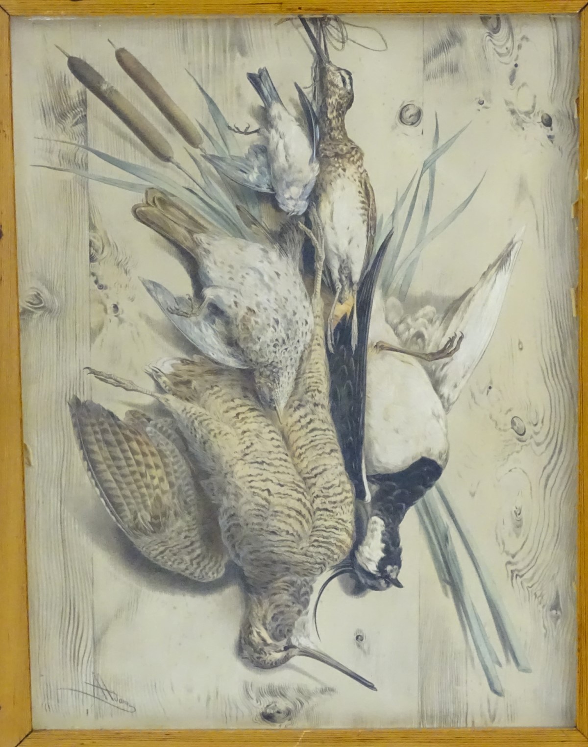 Albert Adam (1833-?), XIX, Hand coloured lithographs, x 2, A study of hanging dead game birds, - Image 5 of 19