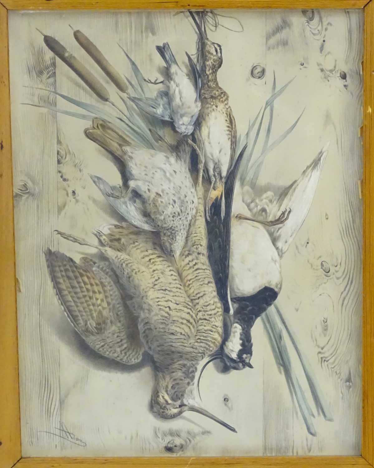 Albert Adam (1833-?), XIX, Hand coloured lithographs, x 2, A study of hanging dead game birds, - Image 7 of 19