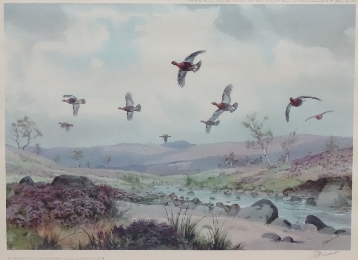 John Cyril Harrison (1898-1985), Signed limited edition coloured print 474/500, Gamebirds, - Image 4 of 5