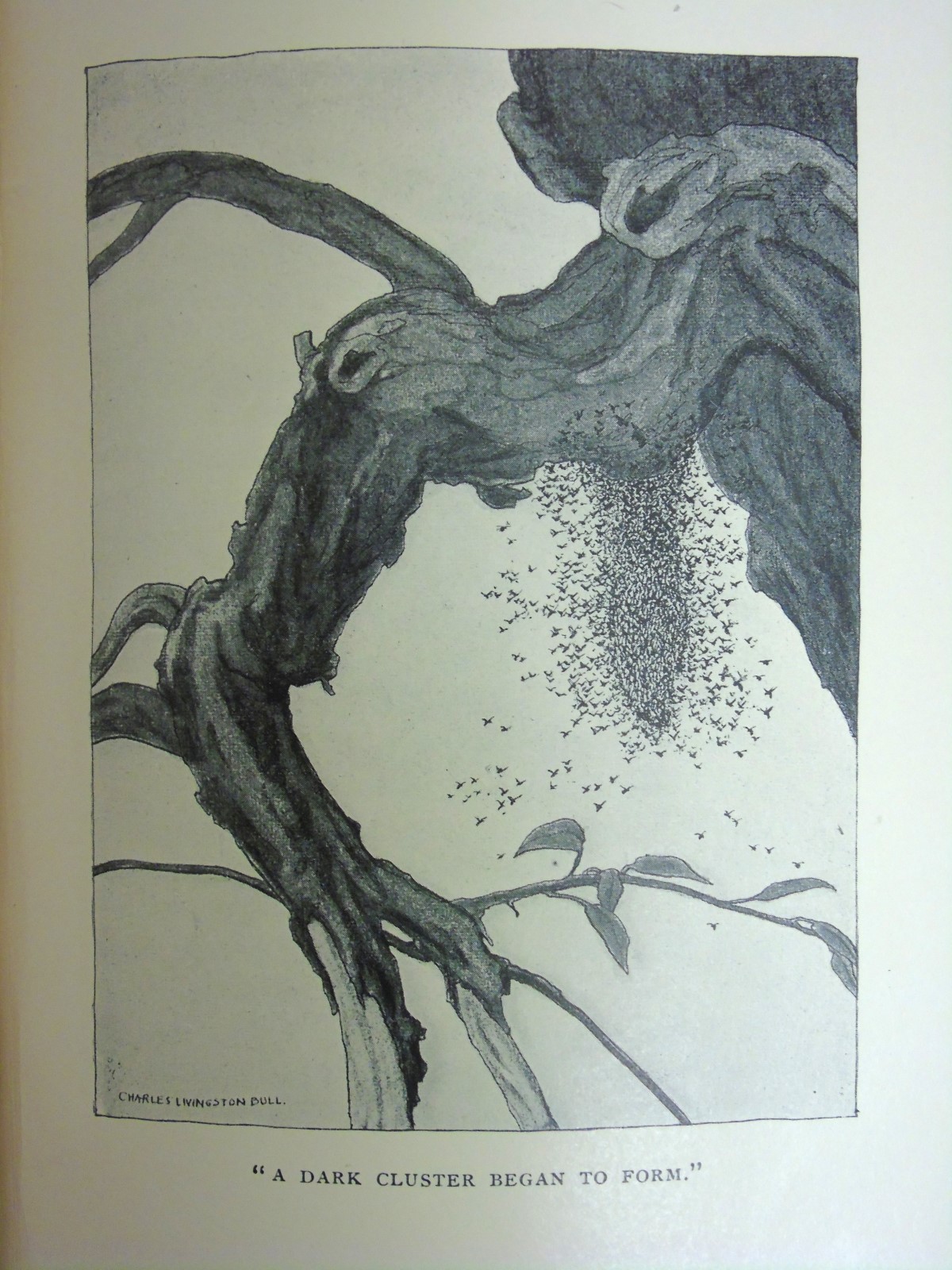 Book: " Red Fox " by Charles G.D. Roberts, published by Duckworth & Co. - Image 4 of 7