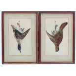 A pair of Victorian decoupage feather and painted bird pictures, depicting hanging dead game,