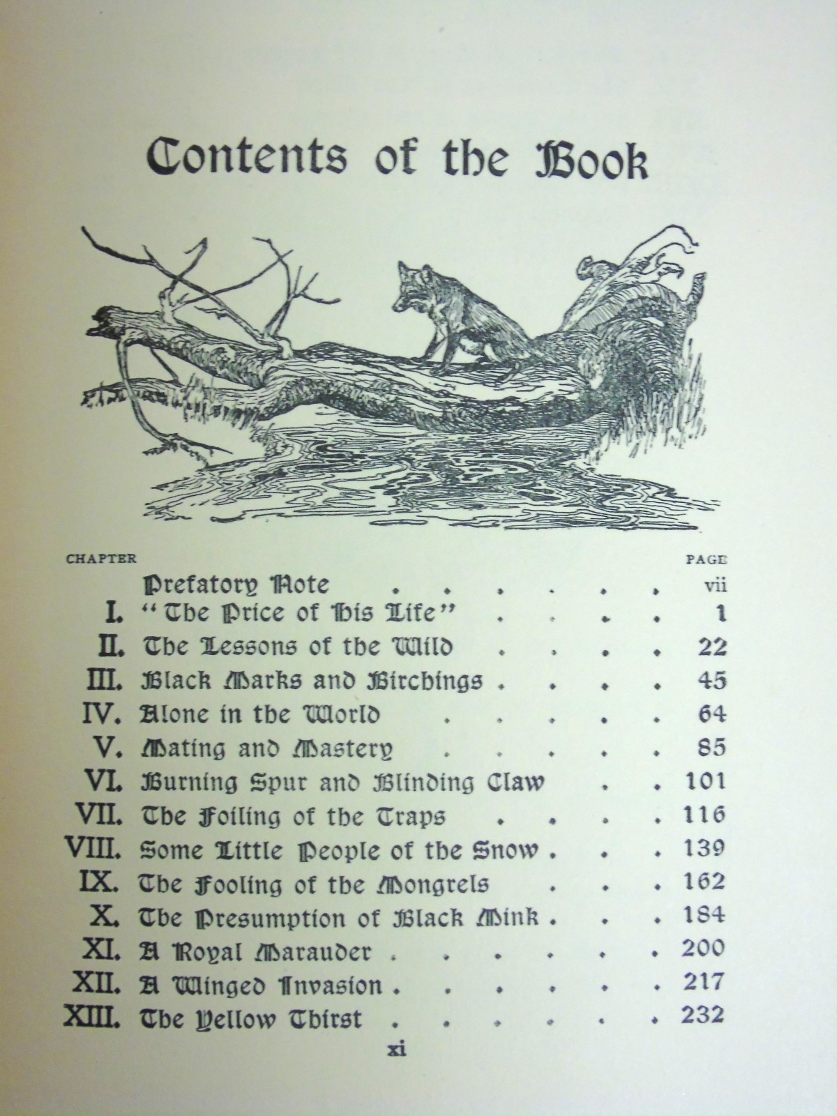 Book: " Red Fox " by Charles G.D. Roberts, published by Duckworth & Co. - Image 6 of 7