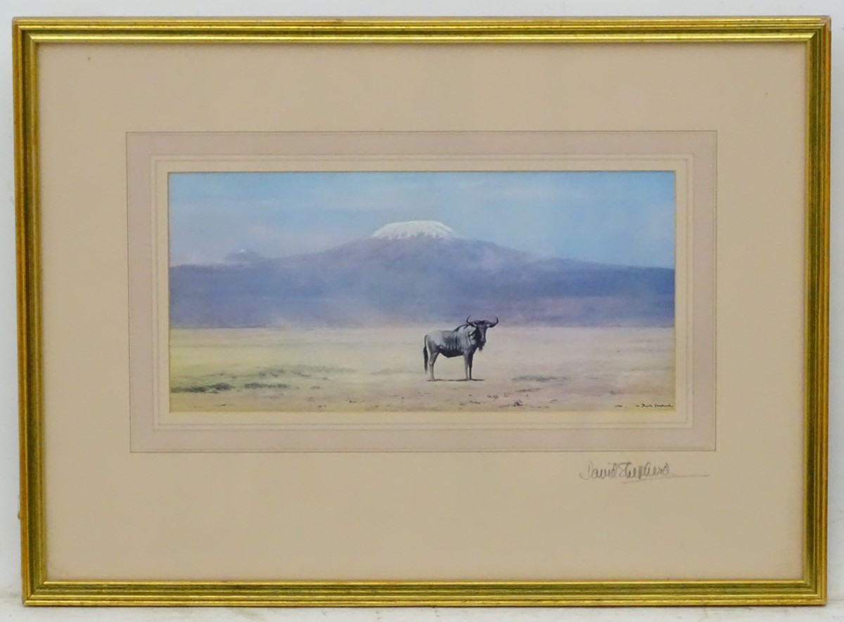 After David Shepherd (1931-2017), Signed coloured print, A wildebeest before Mount Kilimanjaro,