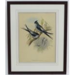 After John Gould (1804-1881), Hand coloured lithograph,