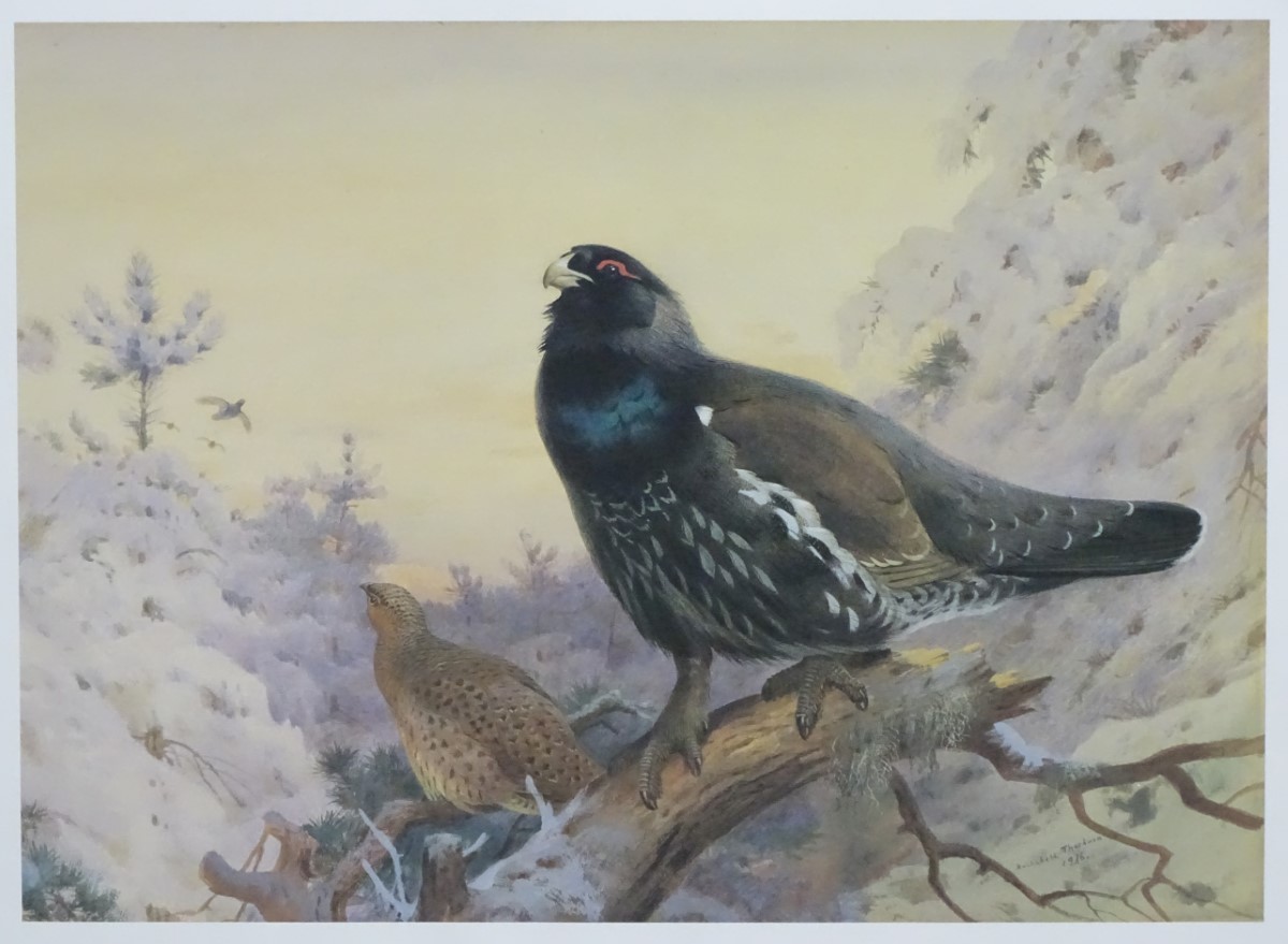 After Archibald Thorburn (1860-1935), Limited edition coloured print 65/850, 'Winter in the Glen', - Image 6 of 7