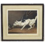 Dog: T Fairland after JAMES WARD RA (1769-1859), Coloured lithograph,