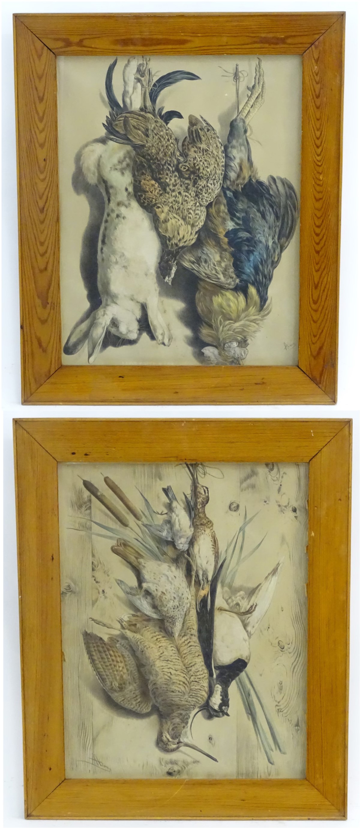 Albert Adam (1833-?), XIX, Hand coloured lithographs, x 2, A study of hanging dead game birds,