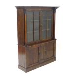 A William IV rosewood bookcase with moulded cornice above two glazed doors,