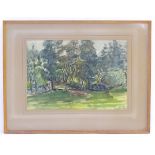Indistinctly signed Winny Read, XX, Watercolour, A wooded landscape,