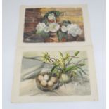 Margot Harrison, XX, Watercolour x2, A still life study of flowers, begonias against a brick wall,