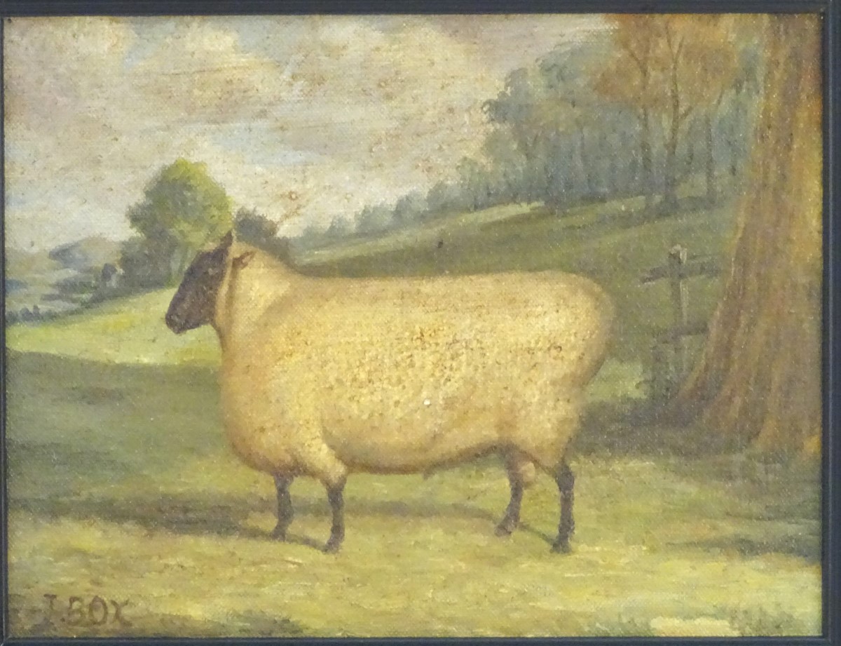 J Box, XX, Oil on canvas laid on board, A portrait of a prize sheep in a landscape, Signed lower - Image 5 of 9