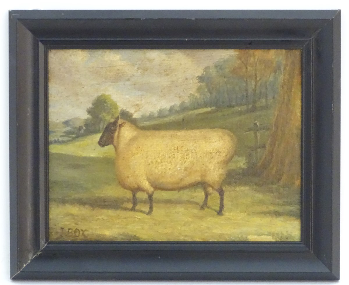 J Box, XX, Oil on canvas laid on board, A portrait of a prize sheep in a landscape, Signed lower