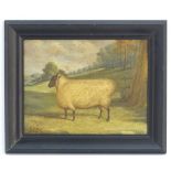 J Box, XX, Oil on canvas laid on board, A portrait of a prize sheep in a landscape, Signed lower