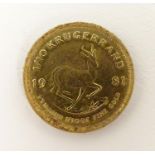 A 1981 gold 1/10 South African Krugerrand coin. The obverse depicting a profile of President Paul