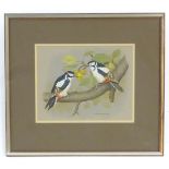 David Andrews, XX, Ornithological School, Watercolour, Great-Spotted Woodpeckers, Two woodpeckers on