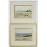 Indistinctly initialled, XIX, English School, Watercolour, The Wolds from near Newton..., A