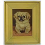 Gustave Lorincz (1855-1931), Oil on panel, A portrait study of a Pekinese dog on a cushion. Signed