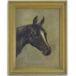 English Equine School, XX, Oil on canvas, A portrait study of the head of a horse. Indistinctly