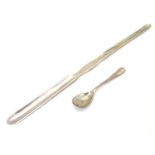 A silver mustard spoon hallmarked Sheffield 1904 maker Henry Williamson Ltd, together with a