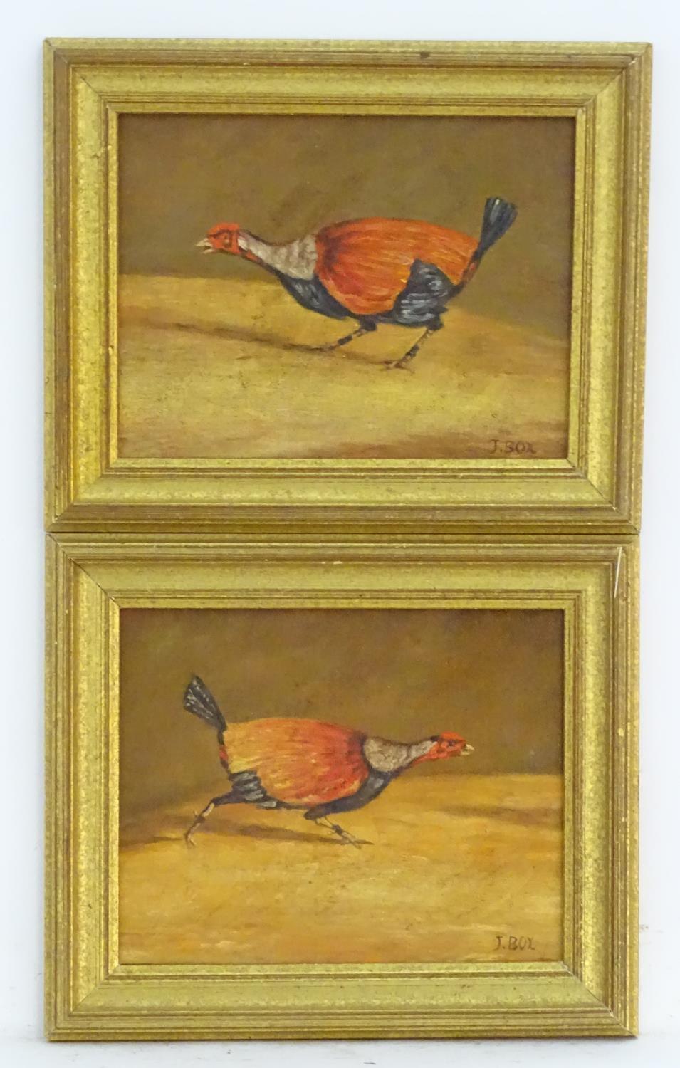 J. Box, XX, Oil on canvas laid on board, A pair of fighting cocks. Both signed lower right.