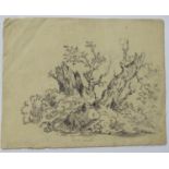 Attributed to John Joseph Barker of Bath (1824-1904), XIX, Charcoal, A still life study of oak