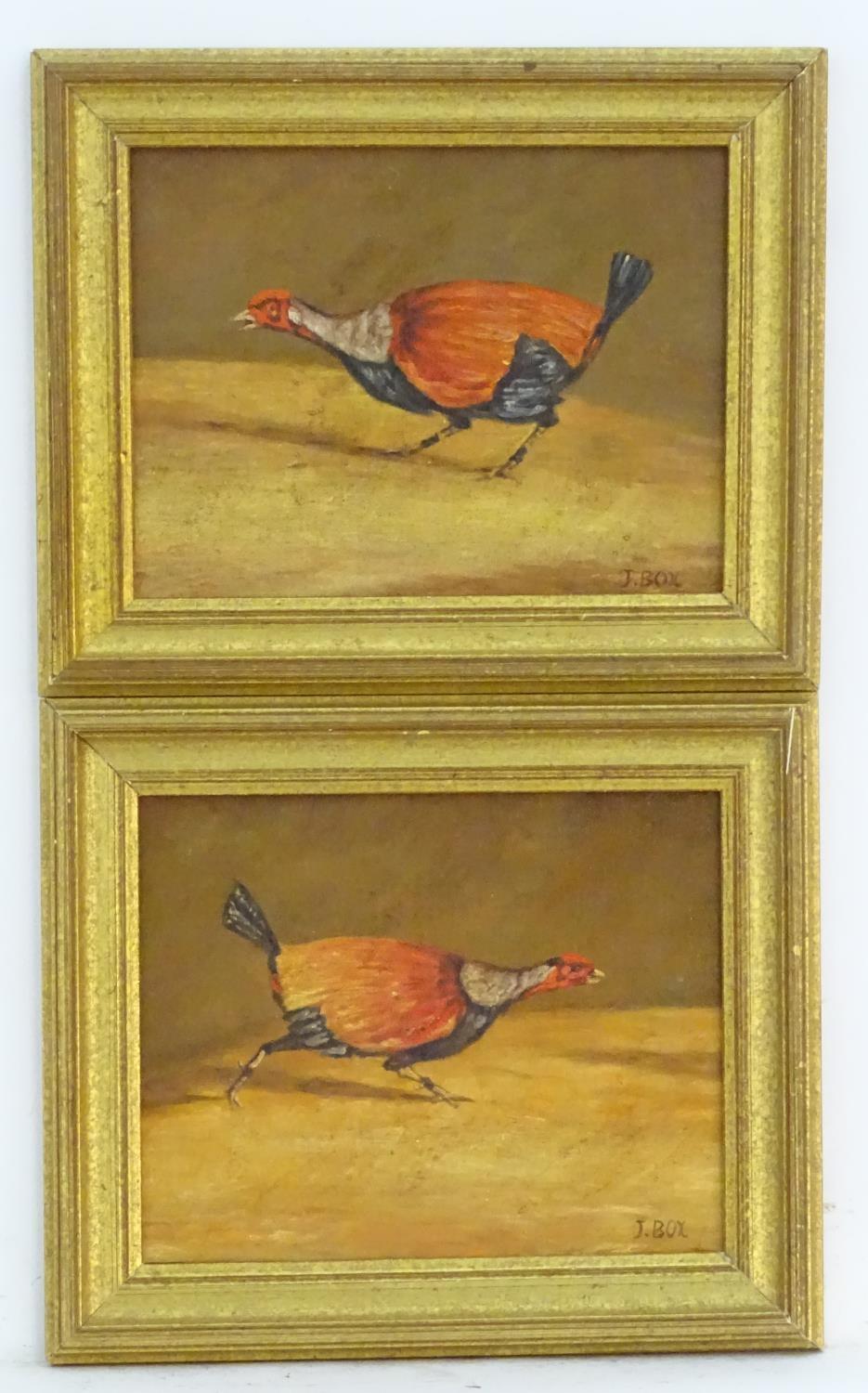 J. Box, XX, Oil on canvas laid on board, A pair of fighting cocks. Both signed lower right. - Image 3 of 7