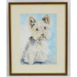 XX, Canine School, Watercolour, A portrait of a West Highland white terrier / Scottie dog with a