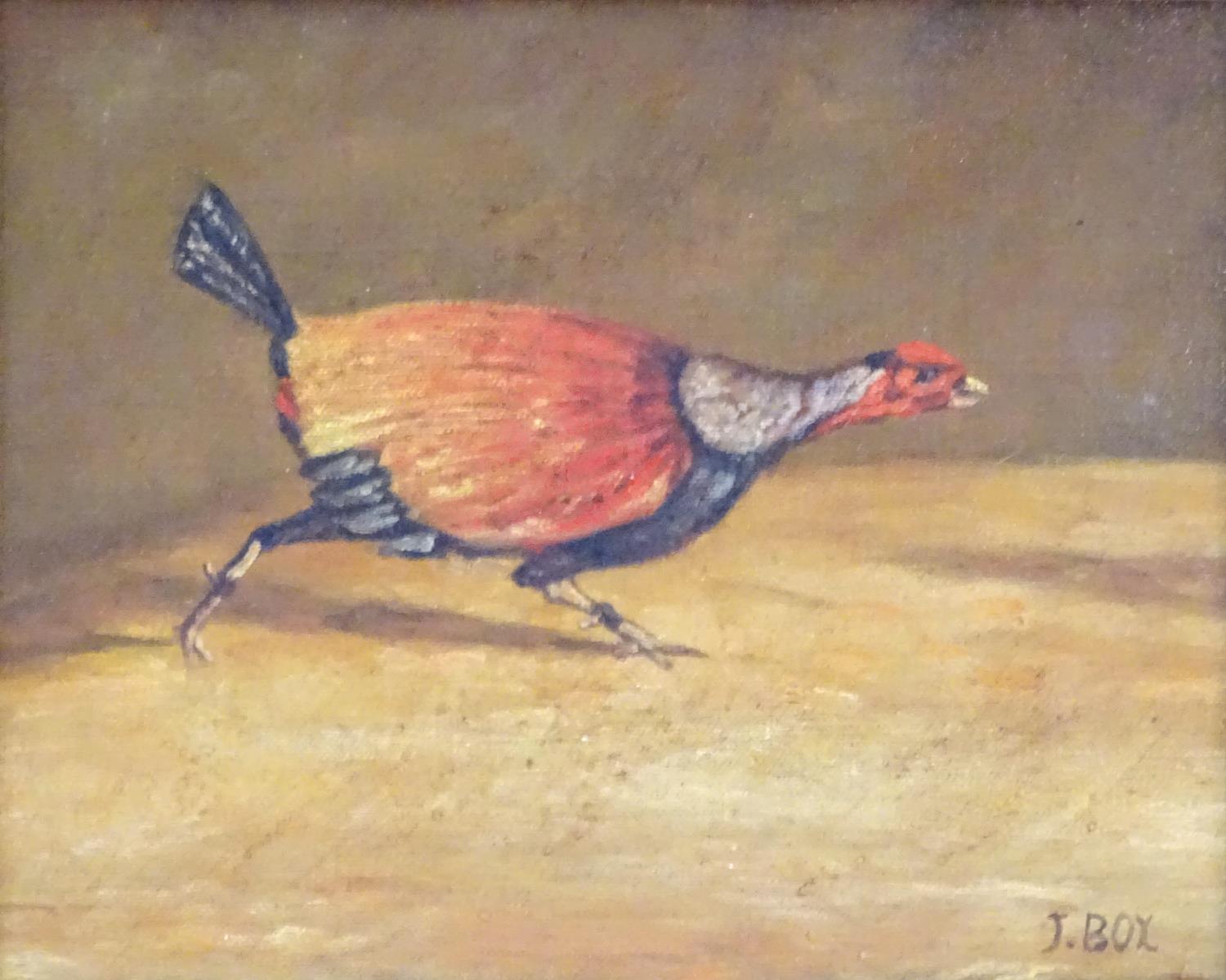 J. Box, XX, Oil on canvas laid on board, A pair of fighting cocks. Both signed lower right. - Image 4 of 7