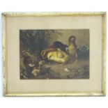 An ornithological print depicting birds / chicks in a landscape, titled under mount 'Who Are