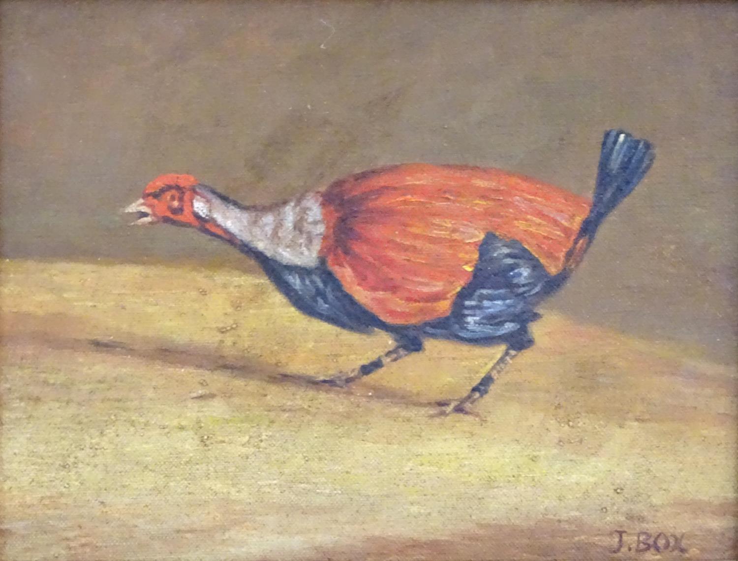 J. Box, XX, Oil on canvas laid on board, A pair of fighting cocks. Both signed lower right. - Image 5 of 7