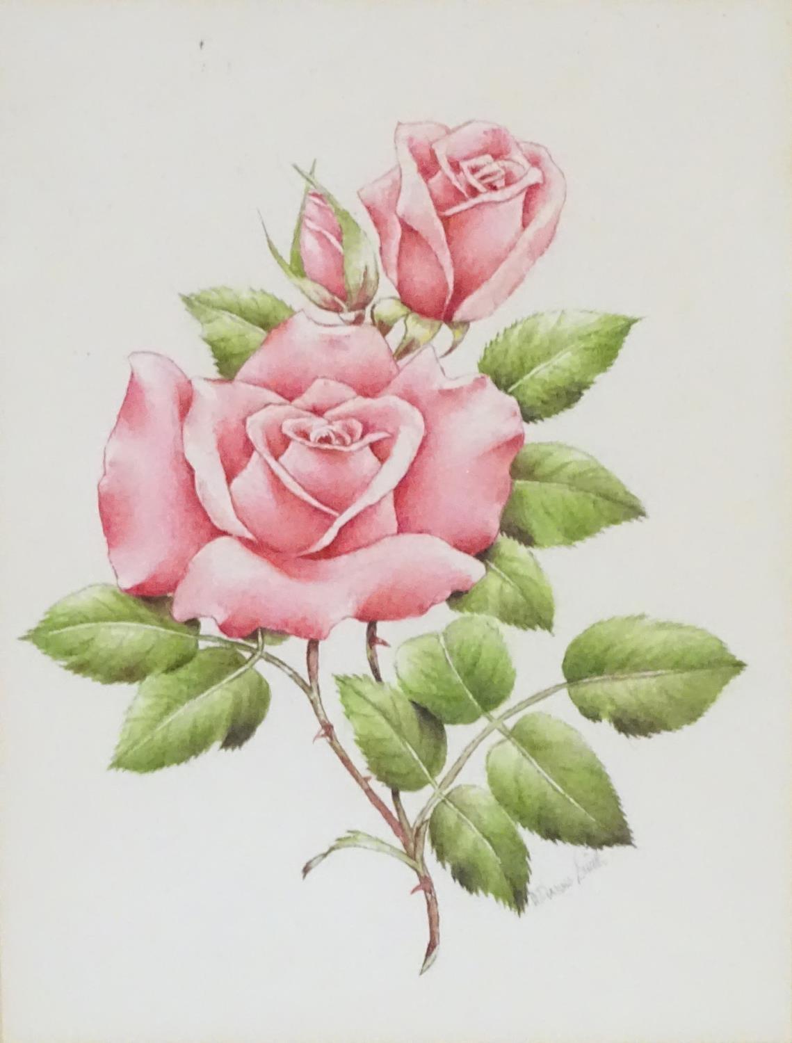 M. P. Smith, XX, English School, A pair of watercolours, Studies of roses, rosebuds and leaves. Both - Image 5 of 7