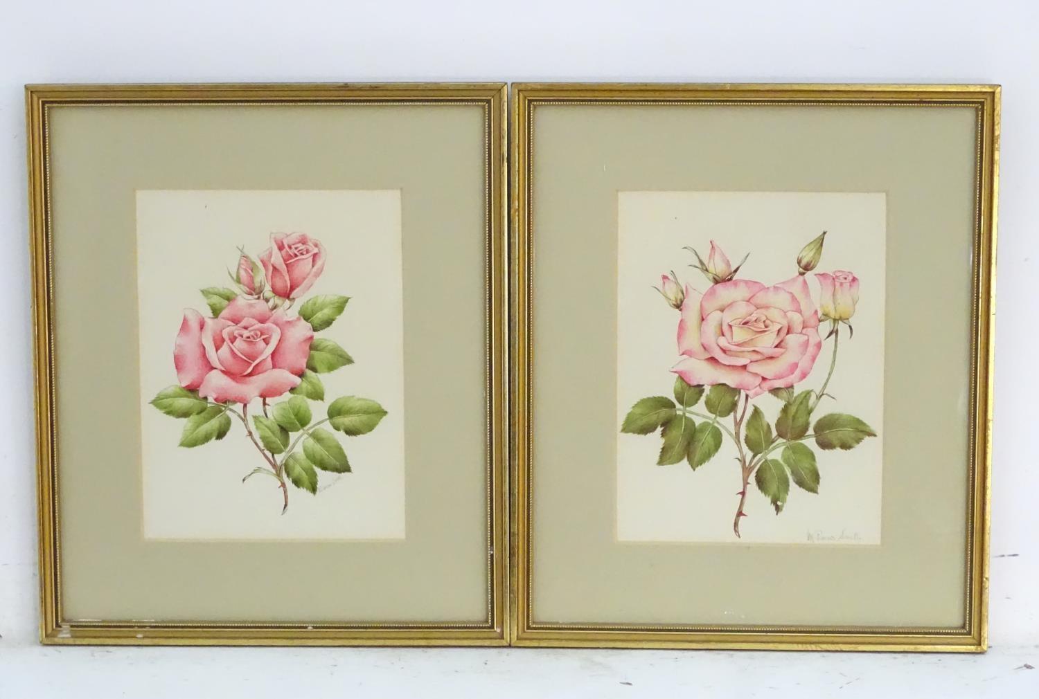M. P. Smith, XX, English School, A pair of watercolours, Studies of roses, rosebuds and leaves. Both - Image 3 of 7
