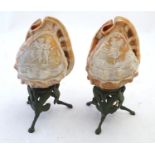 A matched pair of 20thC table lamps formed from conch shells with cast bases, the shell shades