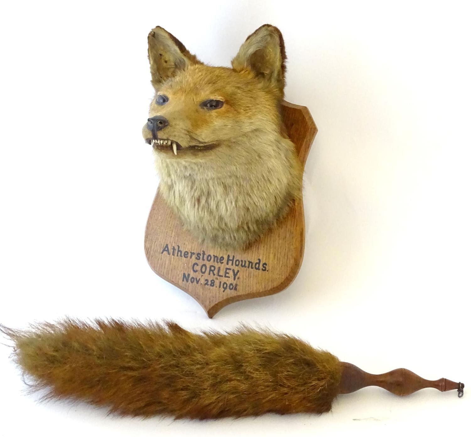 Taxidermy: L.W. Bartlett & Son, Banbury, a Fox (Vulpes Vulpes) mask, labelled to the reverse, - Image 3 of 8