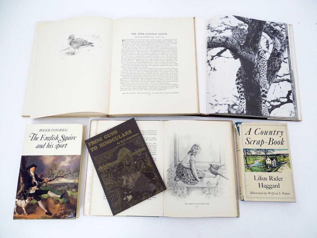 Books: A quantity of books on the subject of Natural History, comprising 'A Country Scrap-Book' by - Image 2 of 7