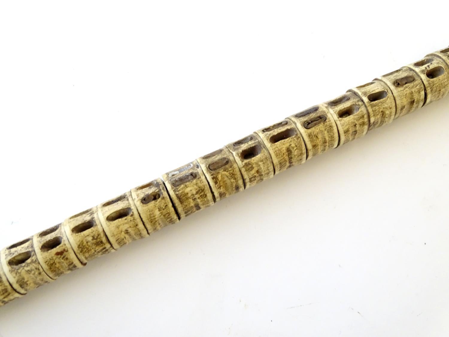 Taxidermy: a 19thC walking cane, mounted with shark vertebrae, with ebony and bone ferrule, - Image 6 of 6