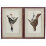 A pair of Victorian decoupage feather and painted bird pictures, depicting hanging dead game, a