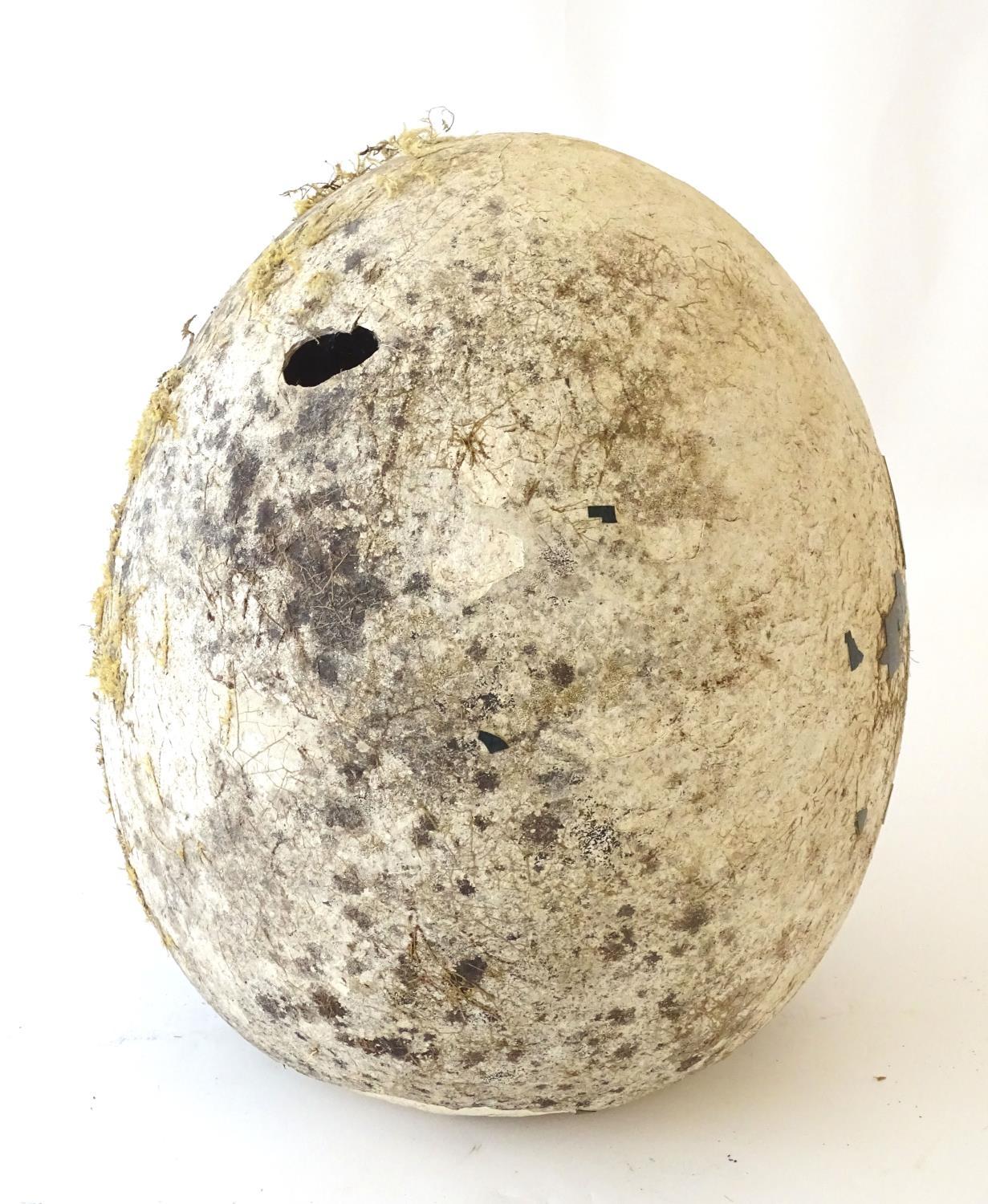 A novelty, oversize ornithological display/film prop model egg, ceramic, 14 1/2" tall Notice to - Image 4 of 5