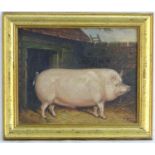 J Box, XX, Oil on canvas laid on board, A portrait of a prize pig in a sty. Signed lower right.