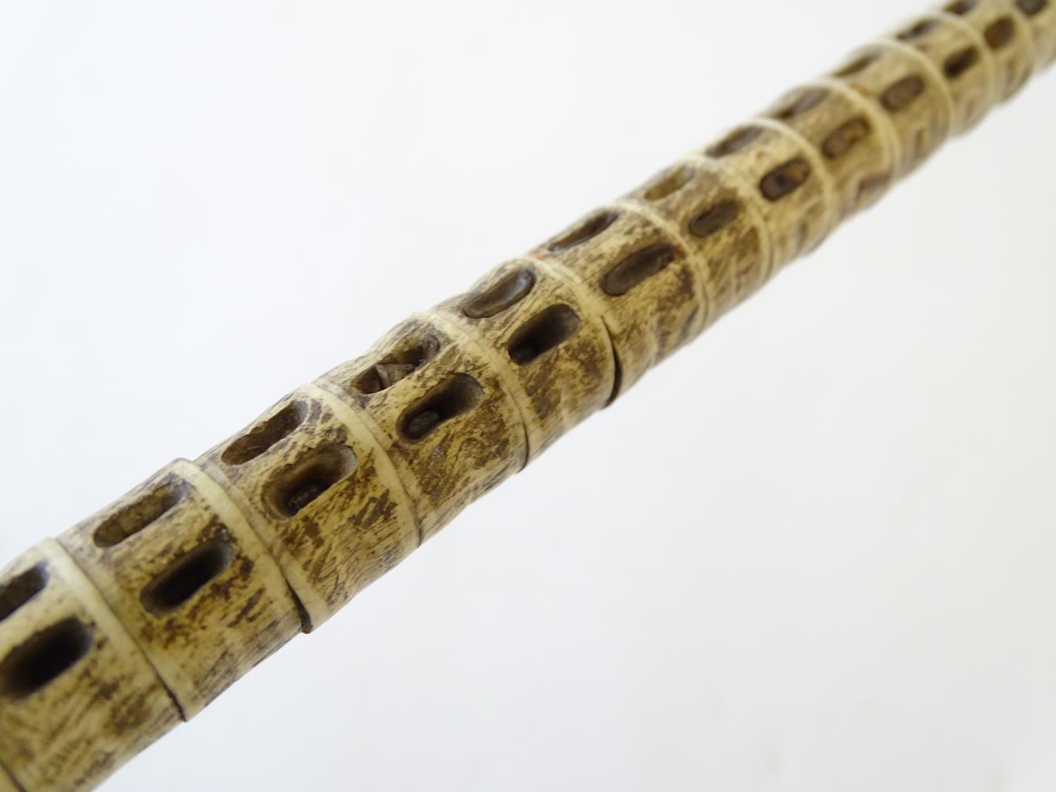 Taxidermy: a 19thC walking cane, mounted with shark vertebrae, with ebony and bone ferrule, - Image 2 of 6