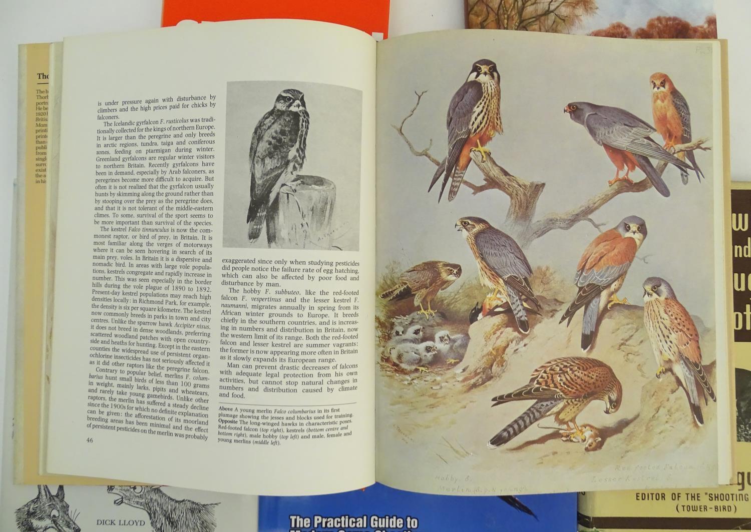 Books: A quantity of books on the subject of shooting, comprising Wildfowling and Rough Shooting, by - Image 2 of 13