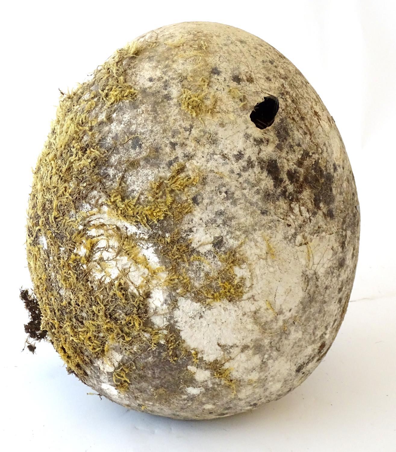 A novelty, oversize ornithological display/film prop model egg, ceramic, 14 1/2" tall Notice to - Image 5 of 5