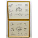 After E Louise Wood, XIX-XX, Canine School, Prints, A pair, Drawn Specially for the Field Sports