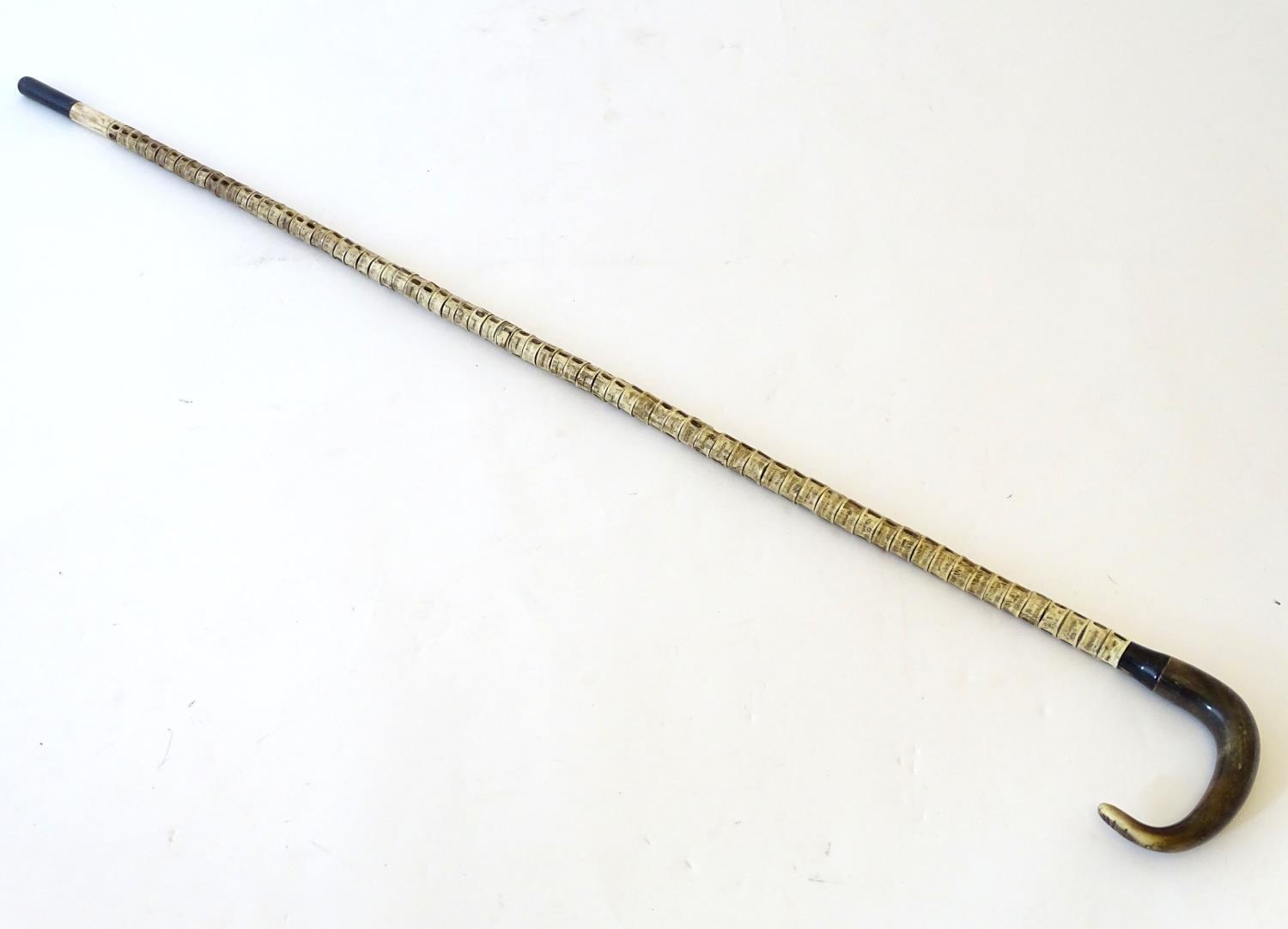 Taxidermy: a 19thC walking cane, mounted with shark vertebrae, with ebony and bone ferrule, - Image 4 of 6