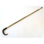 Taxidermy: a 19thC walking cane, mounted with shark vertebrae, with ebony and bone ferrule,