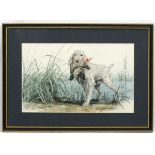 After indistinctly signed, Coloured print, Italian Spinone gun dog retrieving a duck from bulrushes.