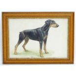 H Bocking, XX, Watercolour, Jay, A portrait of a doberman dog. Titled under and signed lower