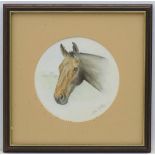 Jane Shirley, XX, Watercolour, a tondo, A head of a bay horse. Signed lower right. Approx. 6 1/4''