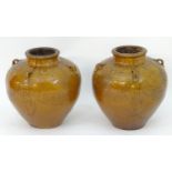 A pair of large Chinese earthenware salt glaze vases with applied handles and incised decoration