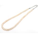 A pearl necklace with silver clasp. approx. 18" long Please Note - we do not make reference to the